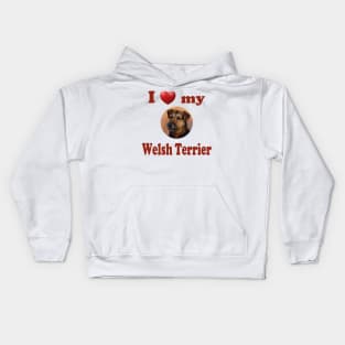 I Love My Welsh Terrier Kids Hoodie